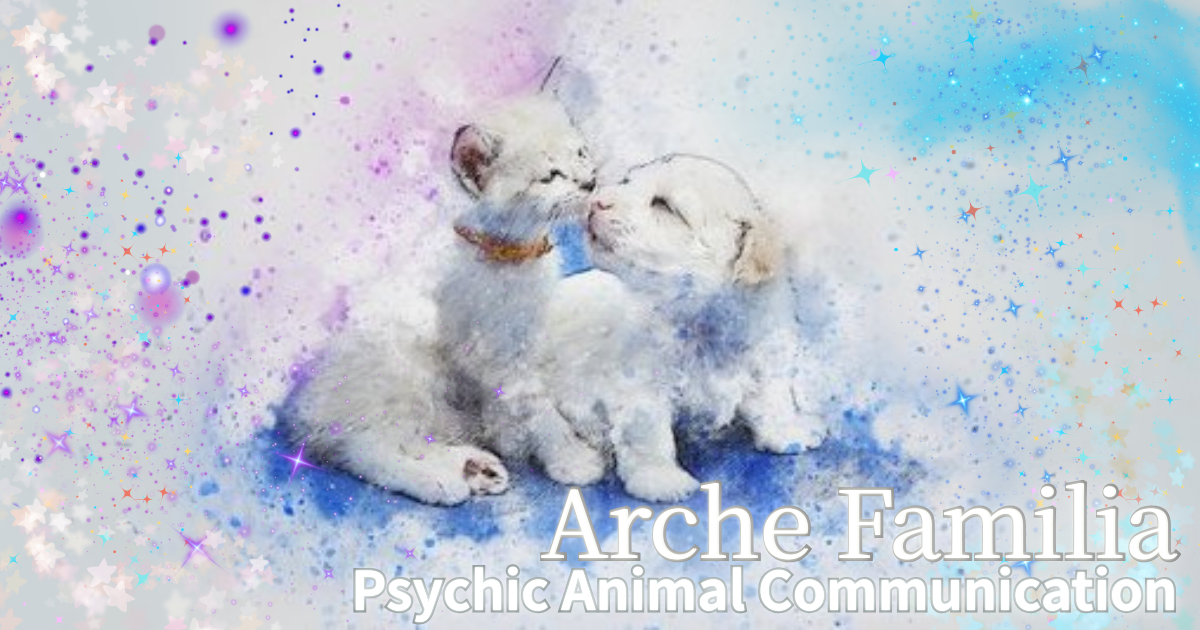 🐶 ybgӒuArche FamiliavVobʐ^1ŐS̐󂯎 🐾 🌈 ̋bZ[Wbg肪Ƃhg΂ɂh󂯎@  ̎q C[fBOb/]/Ă邱 🐩