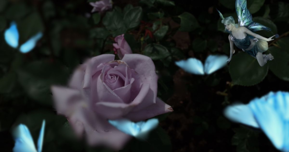 AJ.vol.1 🦋wނ̋C킩Ȃ̑Ώ@x🌙